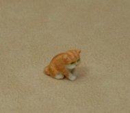 1/2" Cat with Tiger Markings