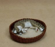 Oval Cat Bed in Mahogany
